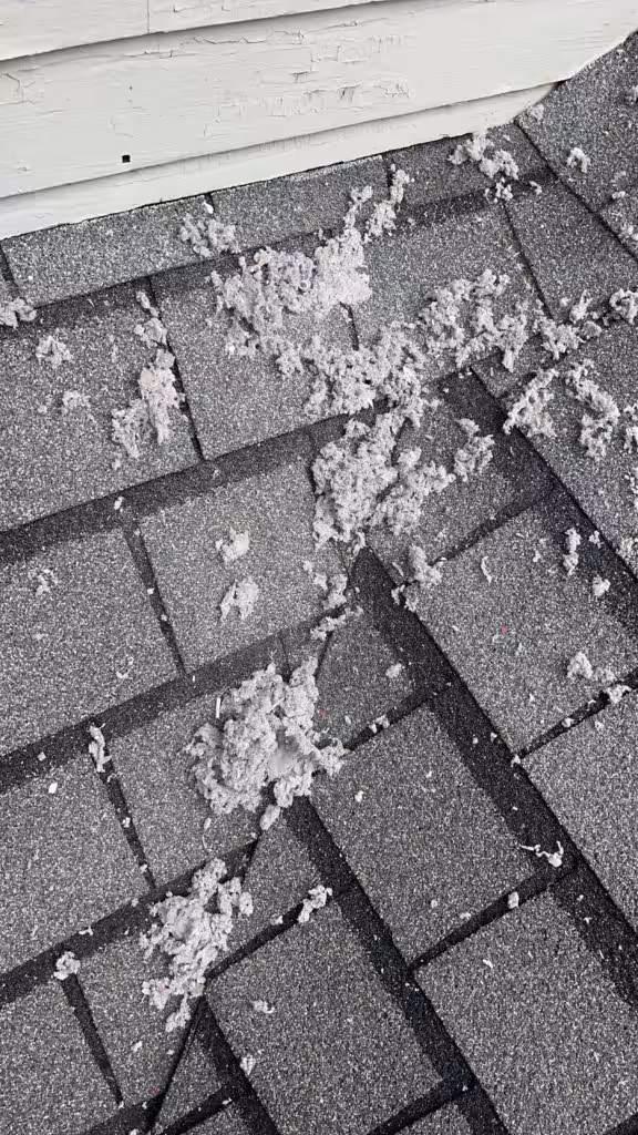 Circle Dryer Vent Service Circle Dryer Vent Service DV1