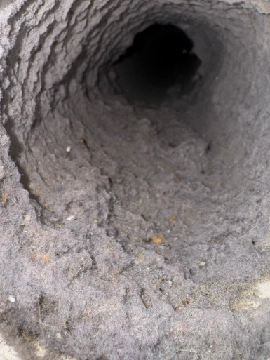 Circle Dryer Vent Service Circle Dryer Vent Service DV12