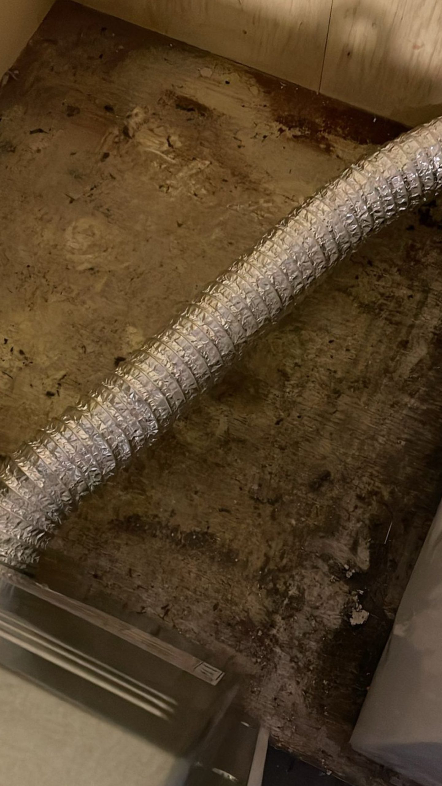 services-01 Circle Dryer Vent Service DV9 scaled